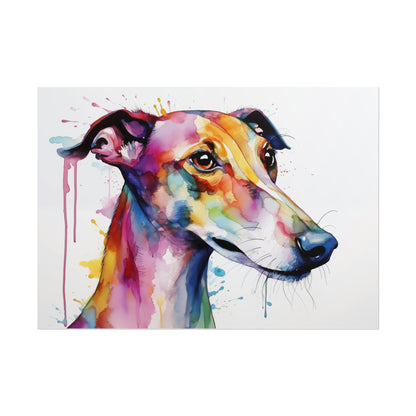 Rainbow Greyhound