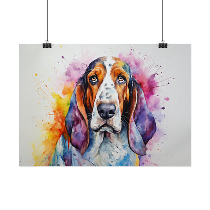 Rainbow Basset Hound