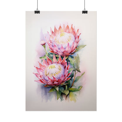 Proteas