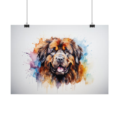 Rainbow Tibetan Mastiff