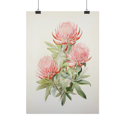 Waratahs