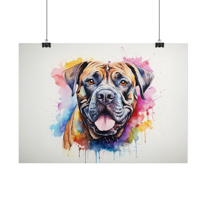 Rainbow Cane Corso