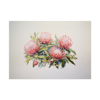 Waratah