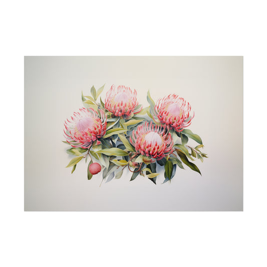 Waratah