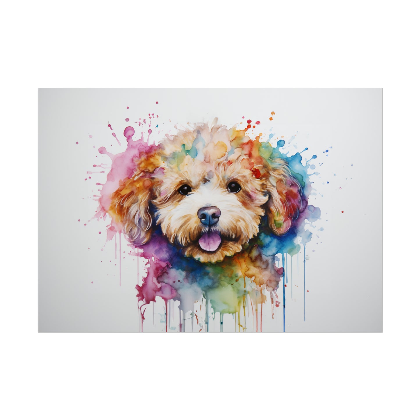 Rainbow Toy Poodle