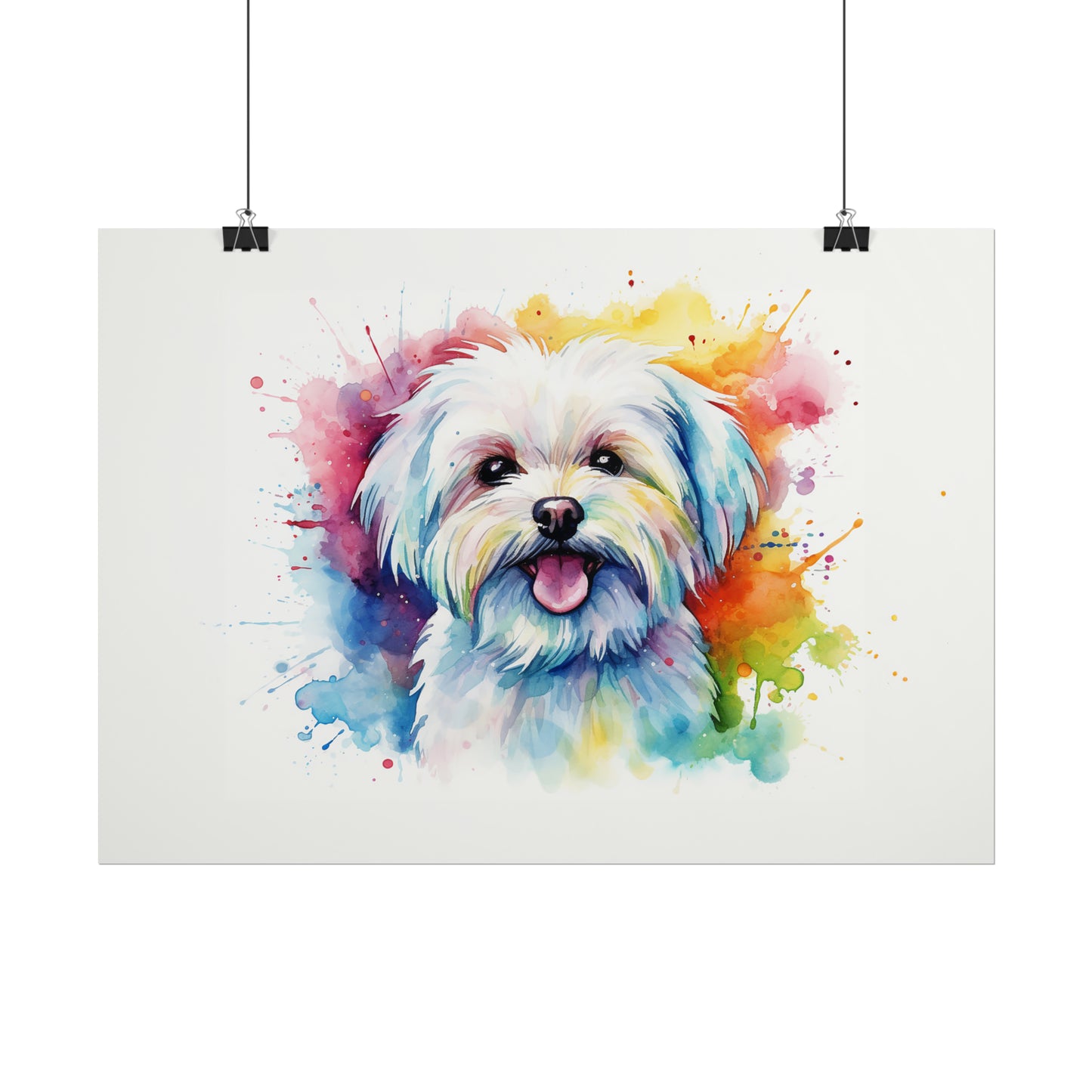 Rainbow Maltese