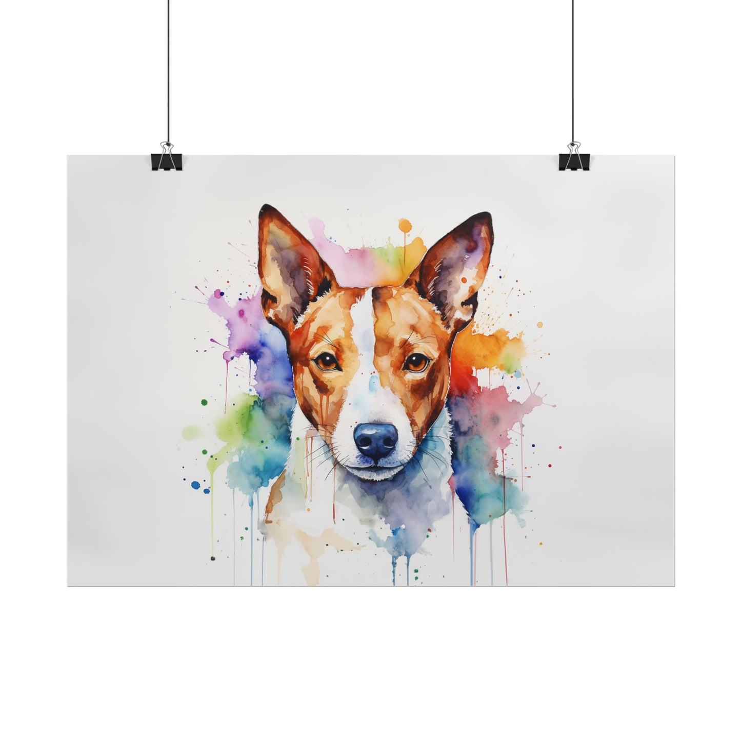 Rainbow Basenji