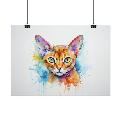 Rainbow Abyssinian Cat