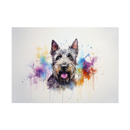 Rainbow Scottish Terrier