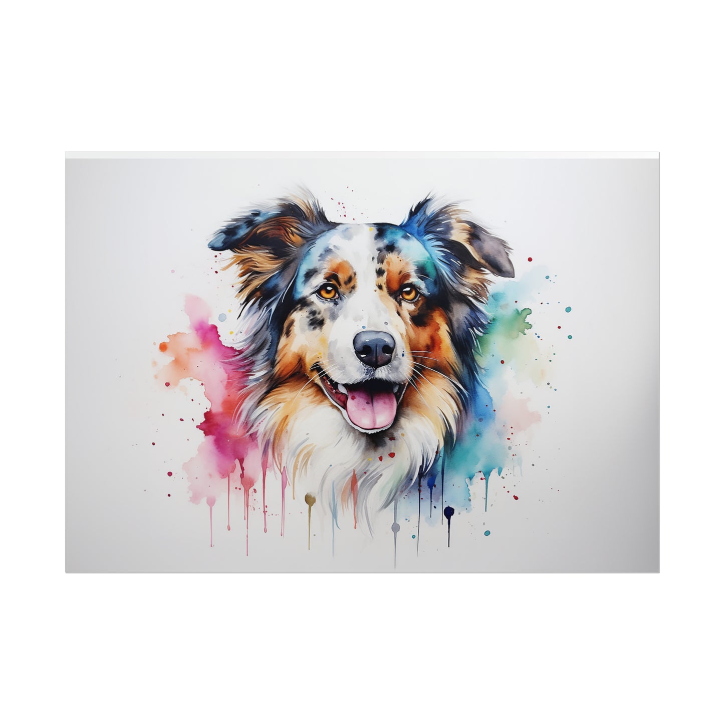 Rainbow Australian Shepherd