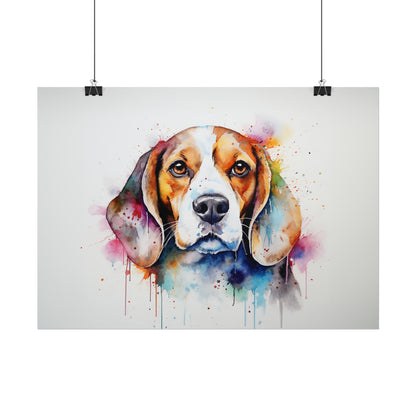 Rainbow Beagle