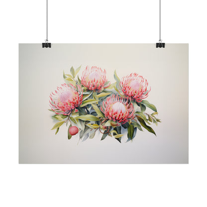 Waratah