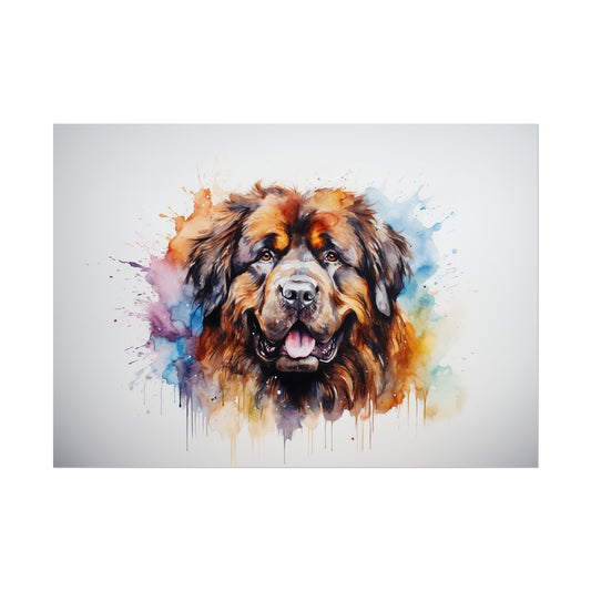 Rainbow Tibetan Mastiff