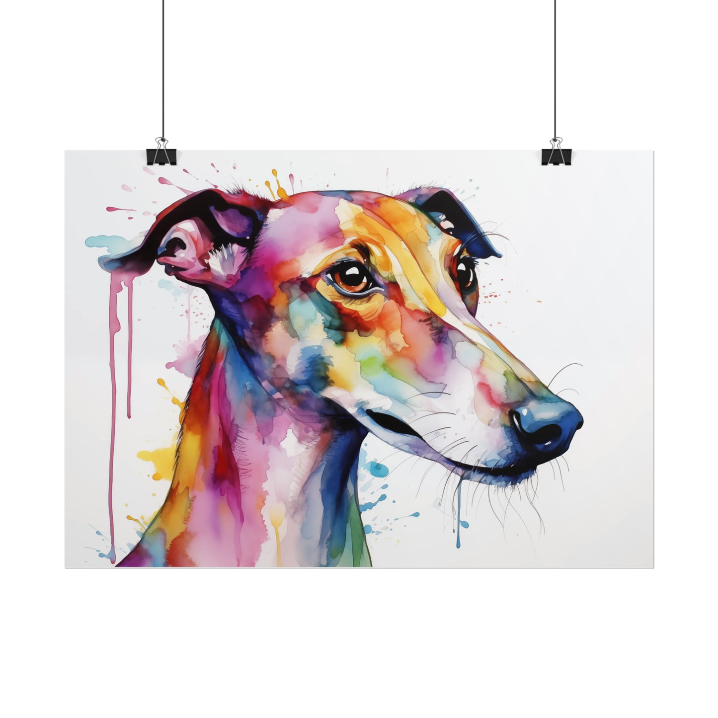 Rainbow Greyhound