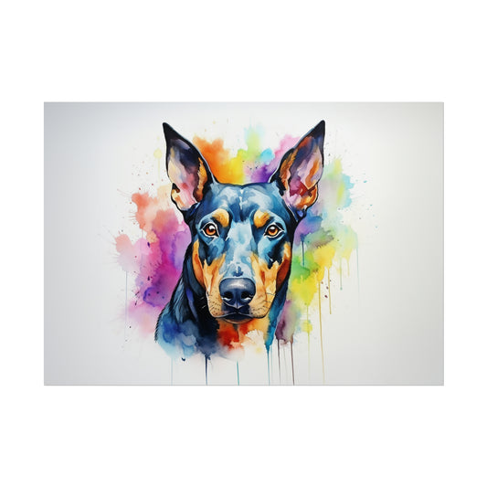 Rainbow Dobermann