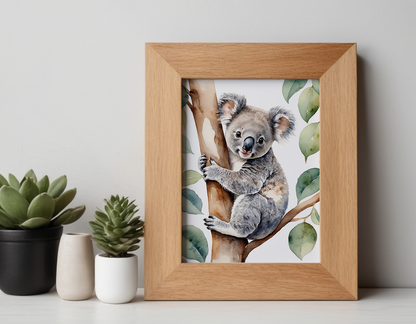 Koala