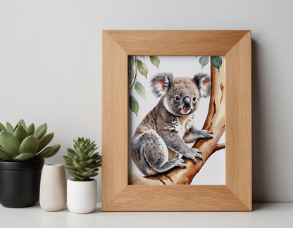 Koala