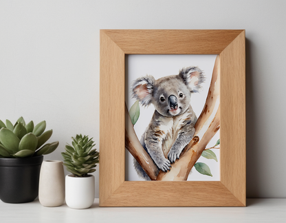 Koala