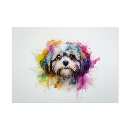 Rainbow Shih Tzu