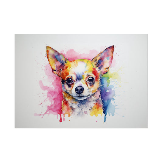 Rainbow Chihuahua