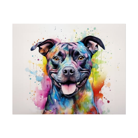 Rainbow Staffordshire Bull Terrier