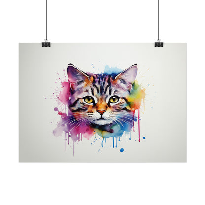 Rainbow American Shorthair Cat