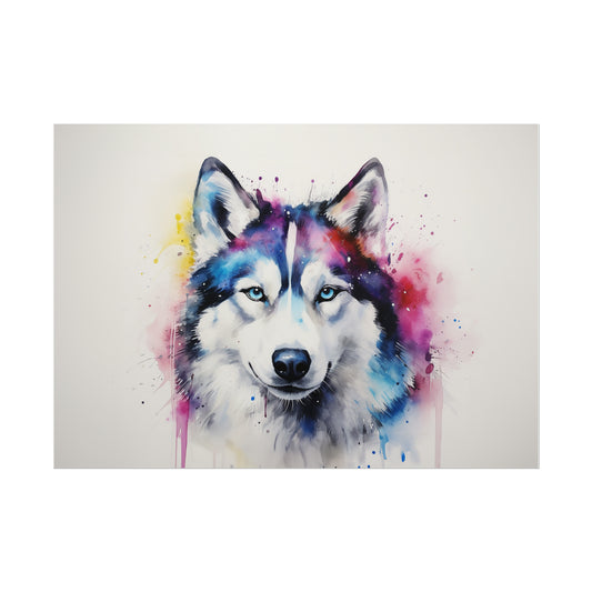 Rainbow Siberian Husky