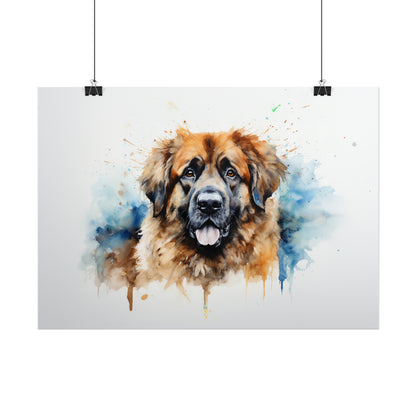 Rainbow Leonberger