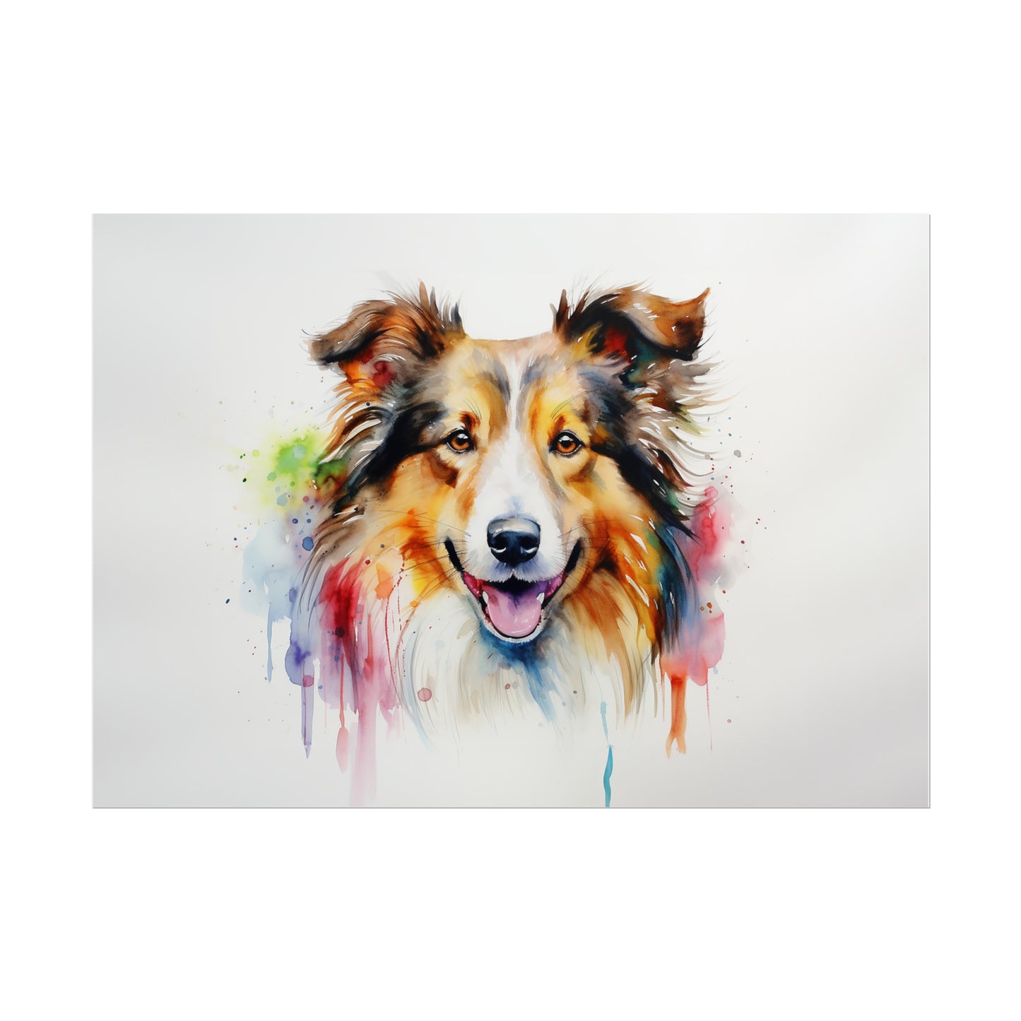 Rainbow Sheltie