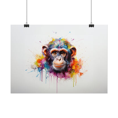 Rainbow Monkey