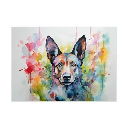 Rainbow Kelpie