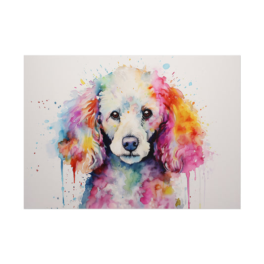 Rainbow Poodle