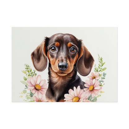 Dachshund with Daisies