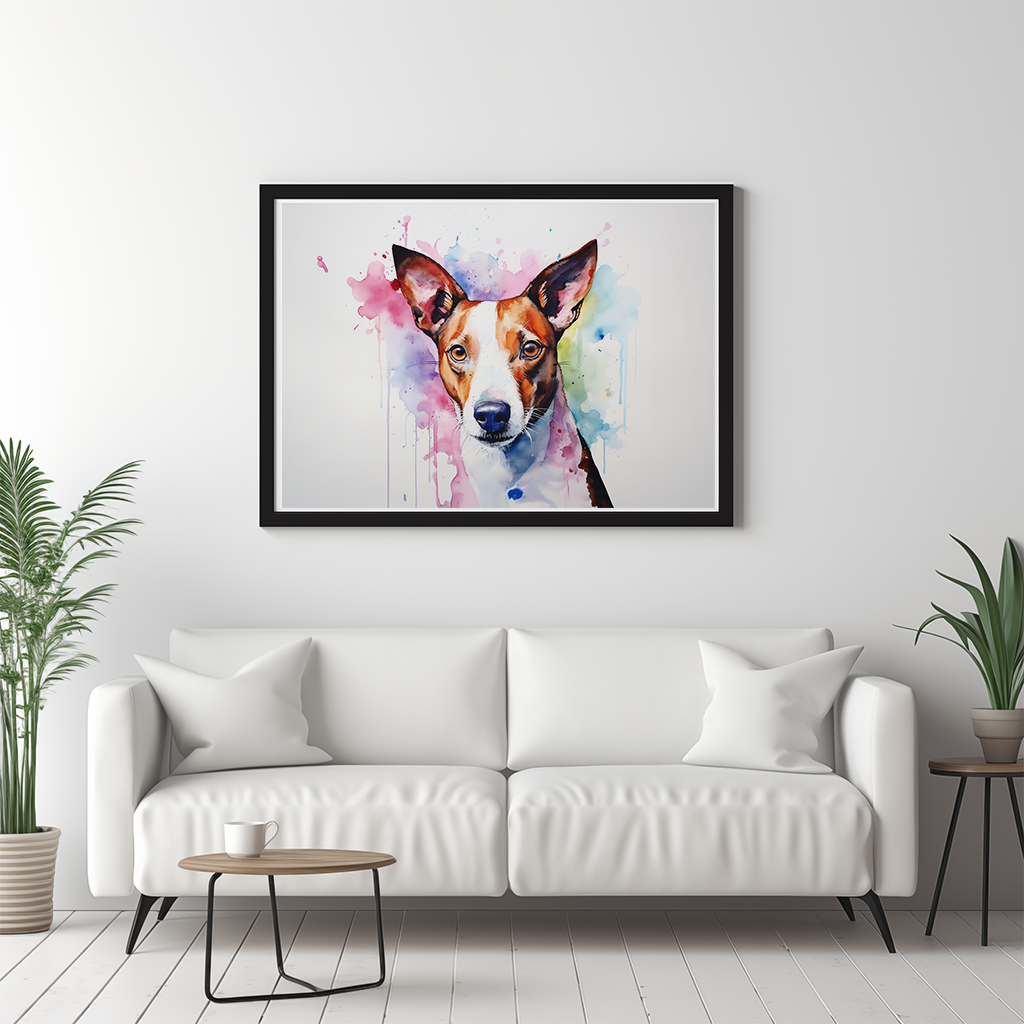 Rainbow Basenji