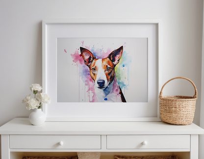 Rainbow Basenji