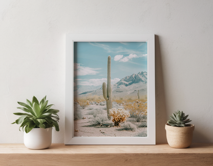 Desert Cactus