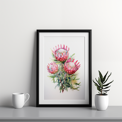 Proteas