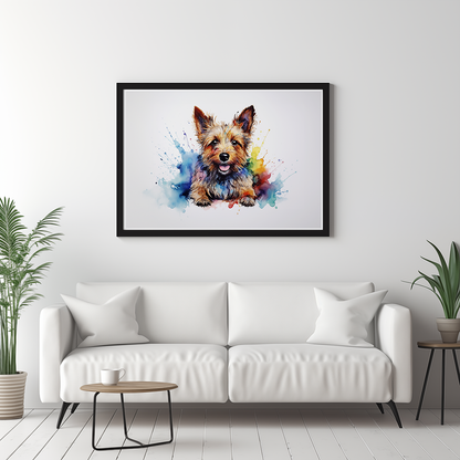 Rainbow Australian Terrier