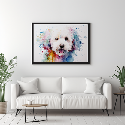 Rainbow Bichon Frisé