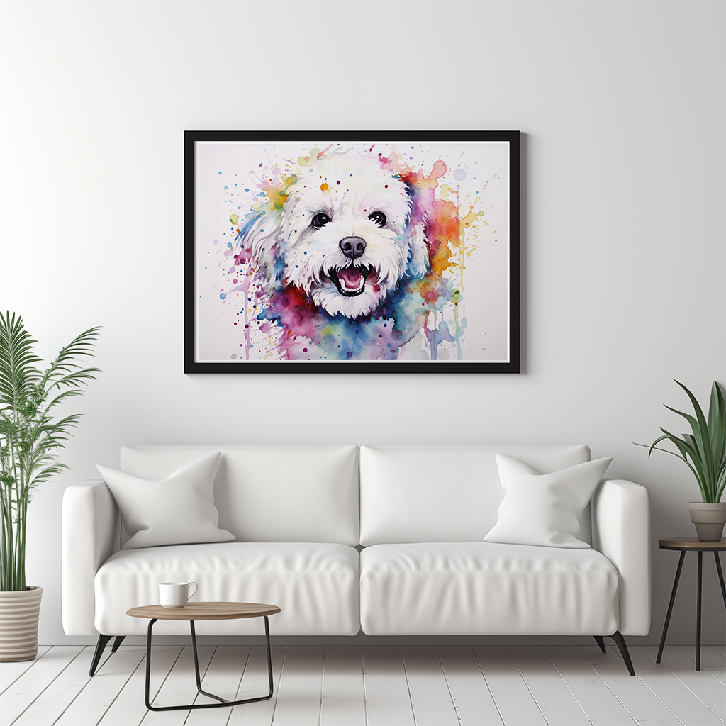 Rainbow Bichon Frisé