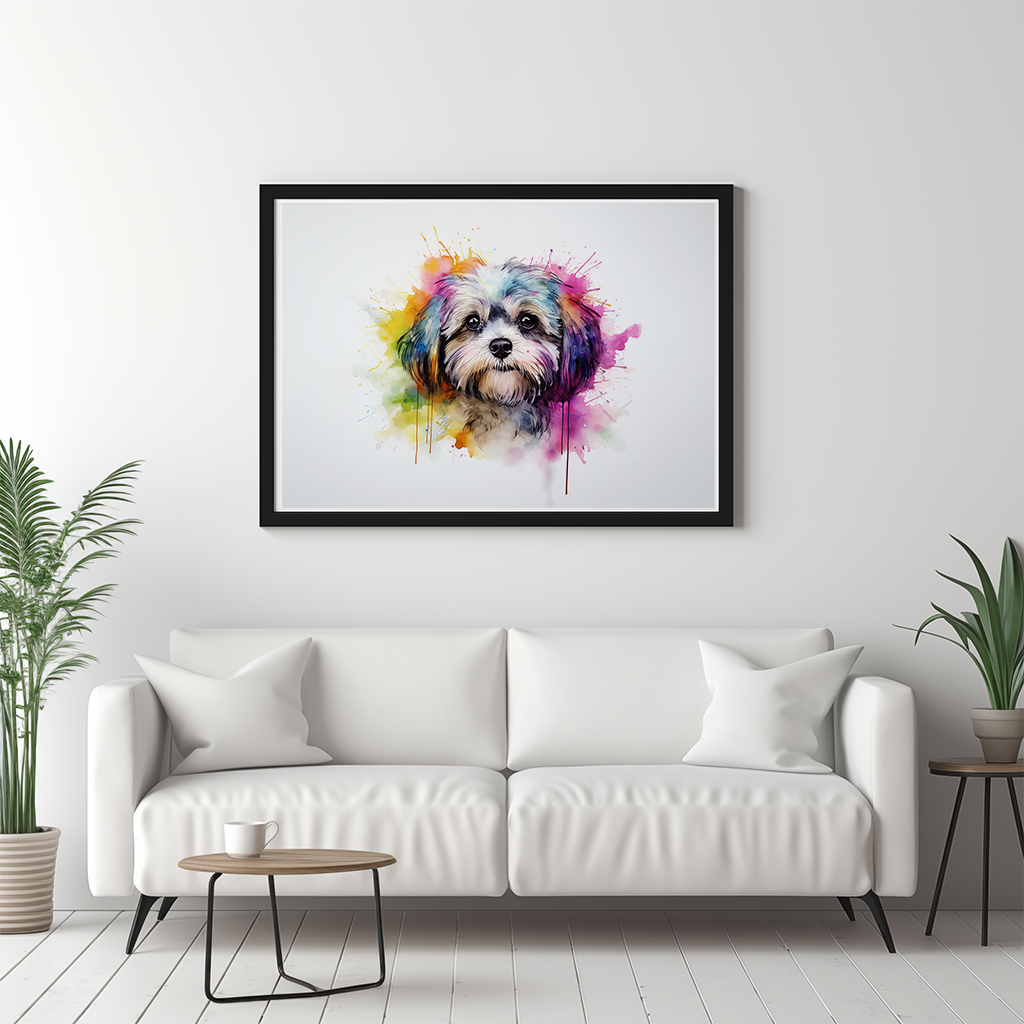 Rainbow Shih Tzu