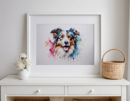 Rainbow Australian Shepherd