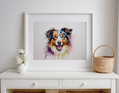 Rainbow Australian Shepherd