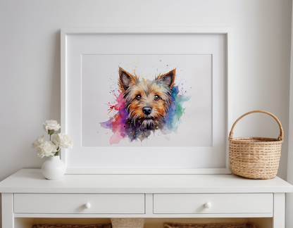 Rainbow Australian Terrier