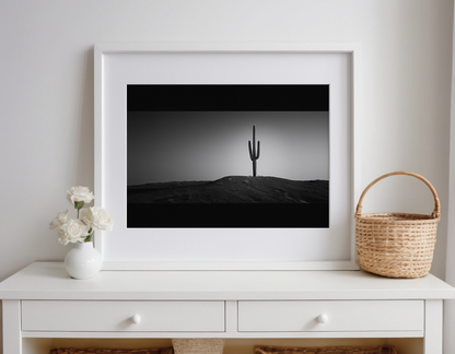 Black and White Cactus